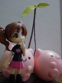 実写版2