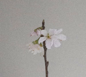 0322.jpg