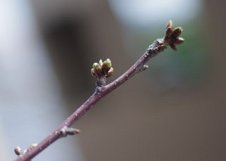 0323-4.jpg